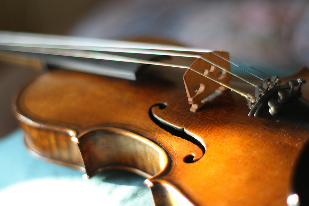 violin