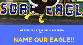 Name our Eagle