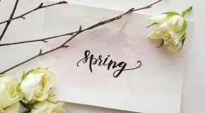 spring graphic with flowers