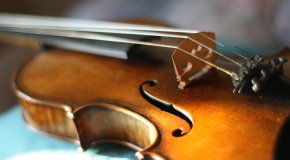 violin