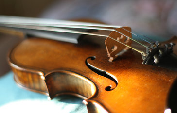 violin