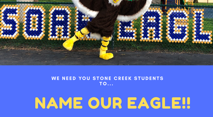Name our Eagle